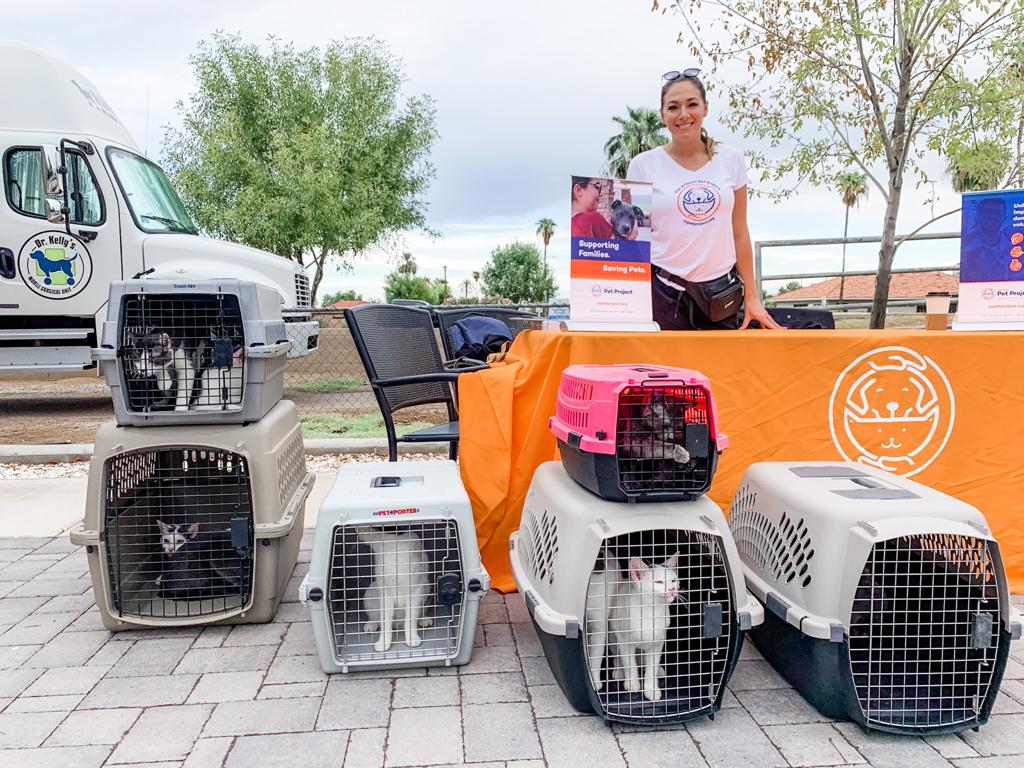 Animal Rescue